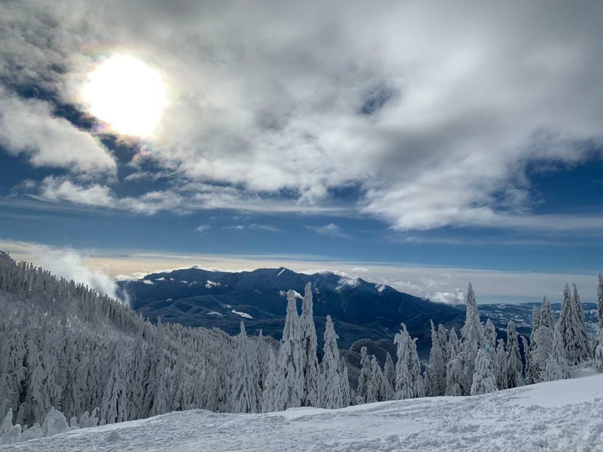 Silver Mountain Poiana Brasov Exterior photo
