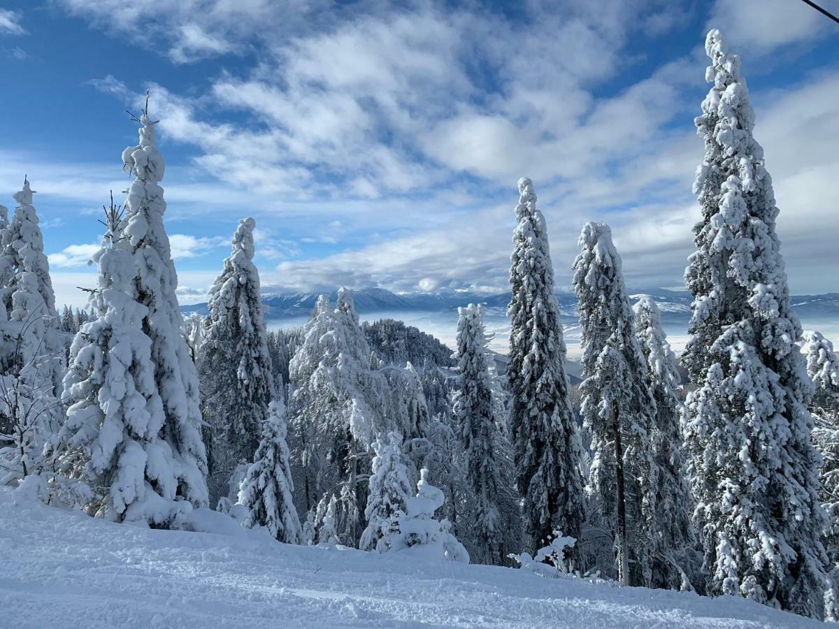 Silver Mountain Poiana Brasov Exterior photo